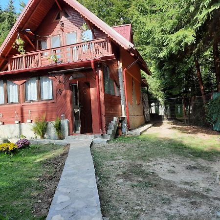 Villa Casuta Paterau Cheia, Prahova Cheia  Esterno foto