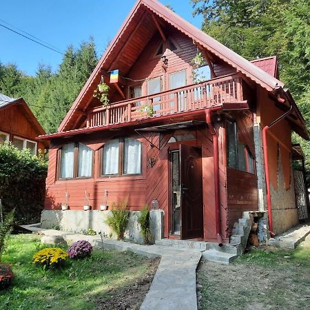Villa Casuta Paterau Cheia, Prahova Cheia  Esterno foto