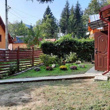 Villa Casuta Paterau Cheia, Prahova Cheia  Esterno foto