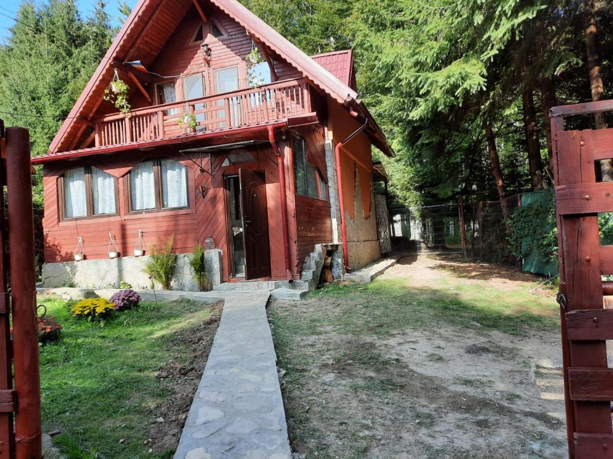 Villa Casuta Paterau Cheia, Prahova Cheia  Esterno foto