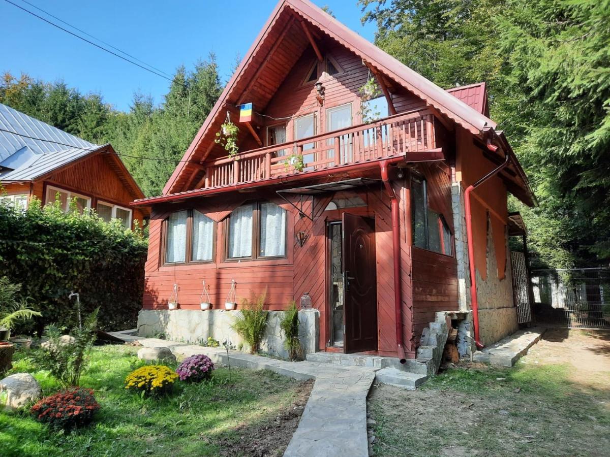 Villa Casuta Paterau Cheia, Prahova Cheia  Esterno foto